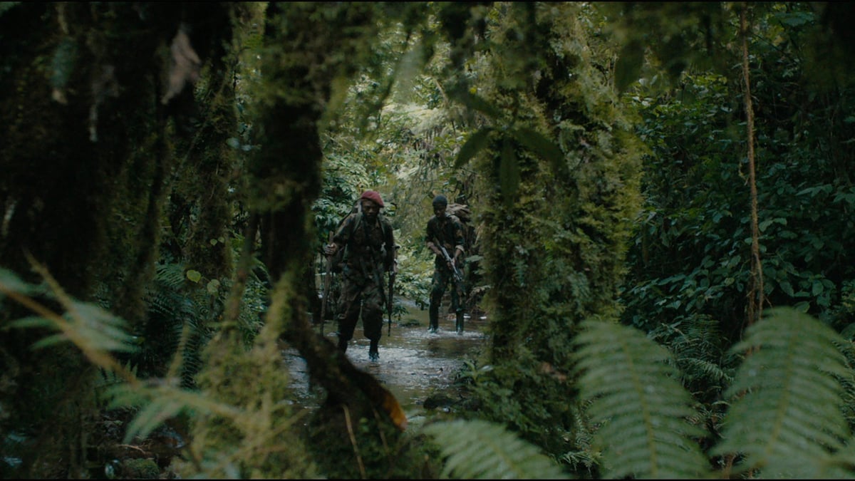 The Mercy of the Jungle