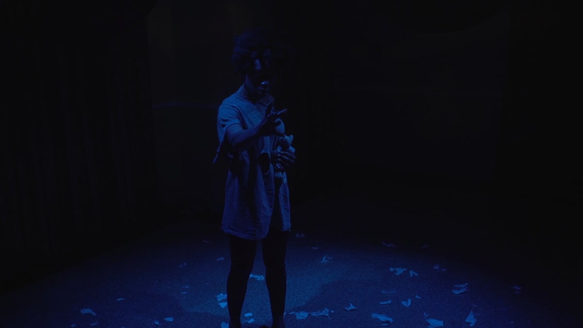 New York African Film Festival 2019 Shorts Program