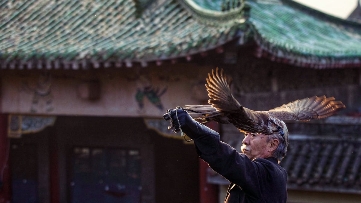 Wushu Orphan