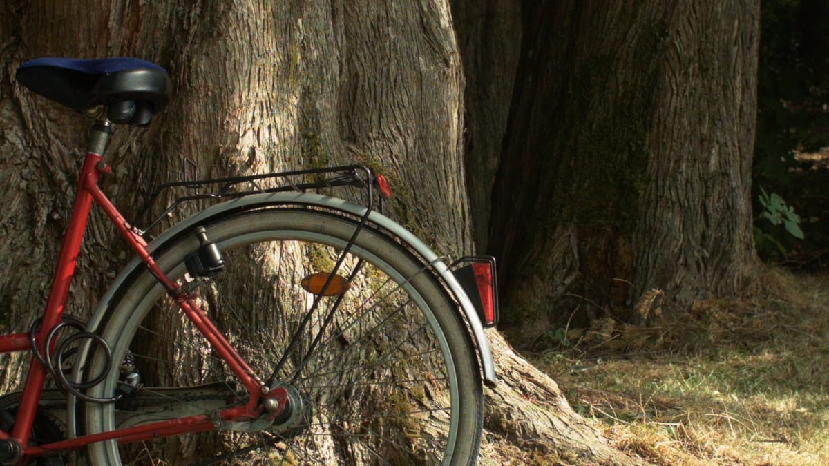 Shorts Program 4: Beginnings and Endings