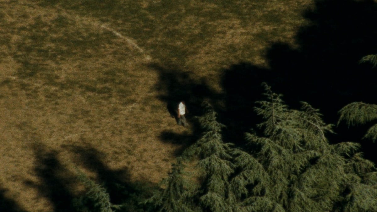 Shorts Program 4: Beginnings and Endings