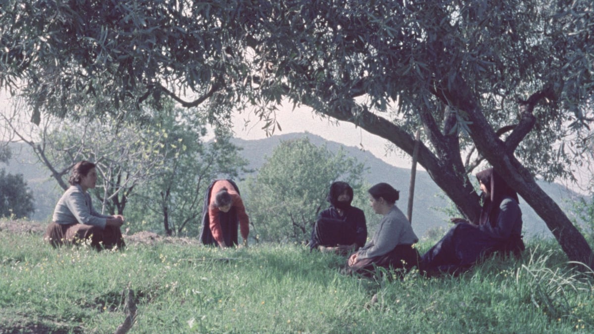 Ten Documentary Shorts by Vittorio De Seta