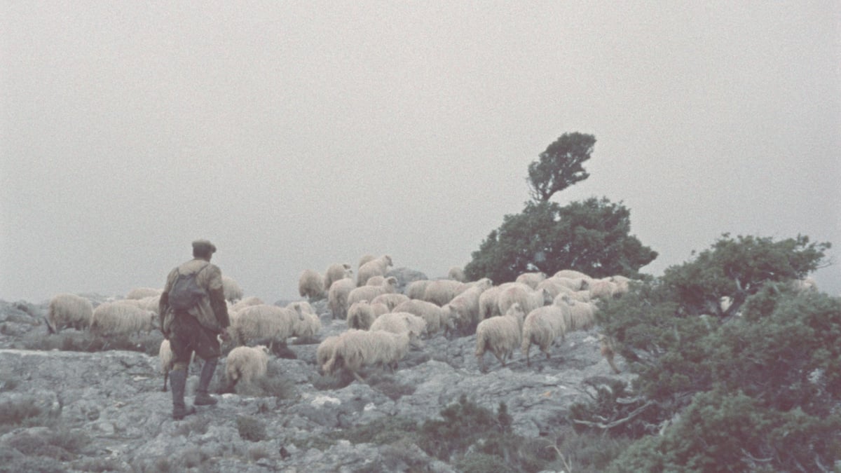 Ten Documentary Shorts by Vittorio De Seta