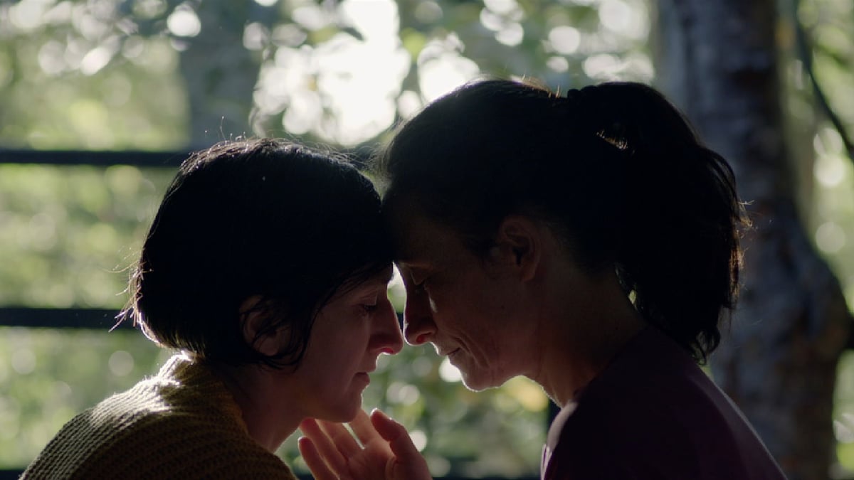 Neighboring Scenes: New Latin American Cinema