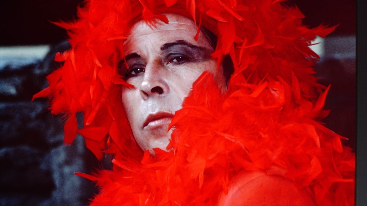 Neighboring Scenes: New Latin American Cinema