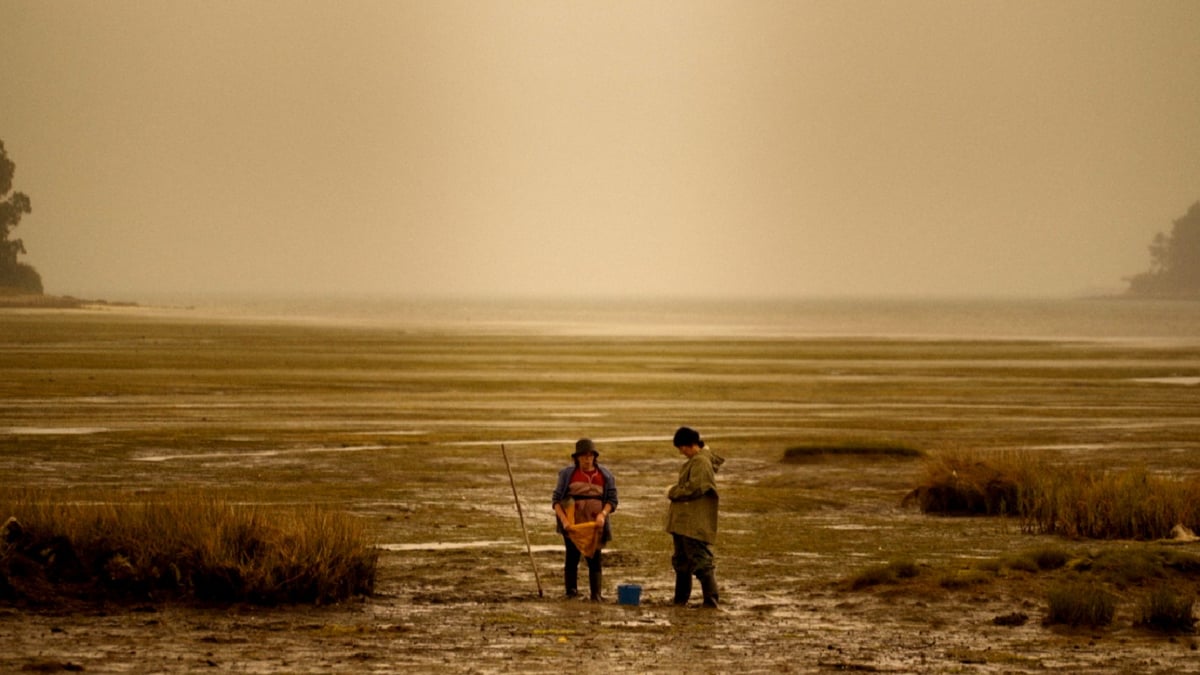 Red Moon Tide