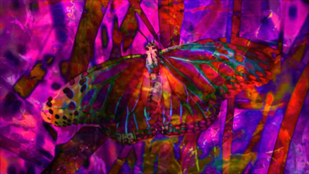 Program 4: There Are Other Worlds They Have Not Told You Of