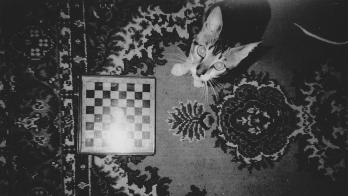 Program 1: Remains to Be Seen