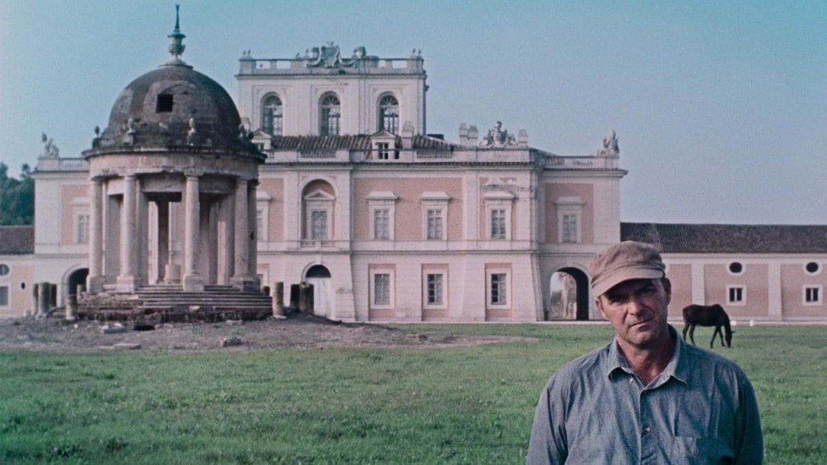 Meet the Filmmaker: Pietro Marcello