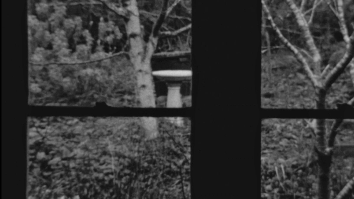 Currents Program 7: New Sensations