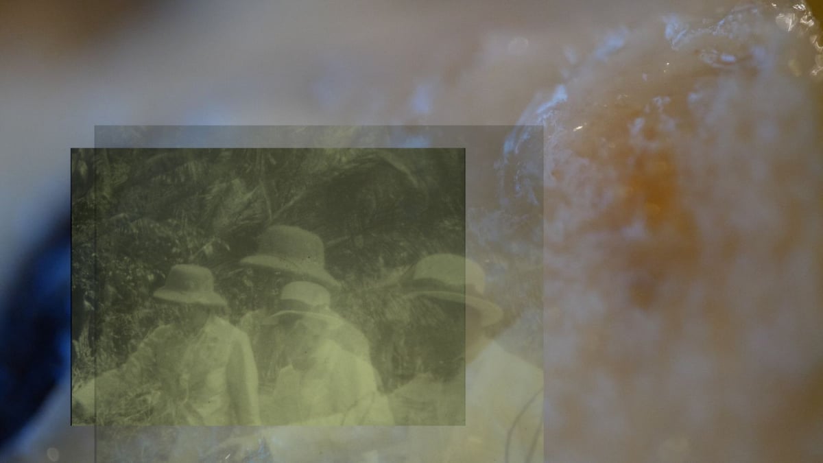 Currents Program 7: New Sensations