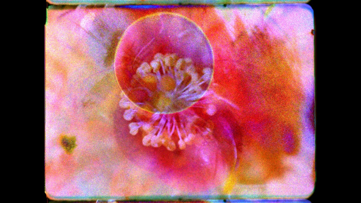 Currents Program 8: Vibrant Matter