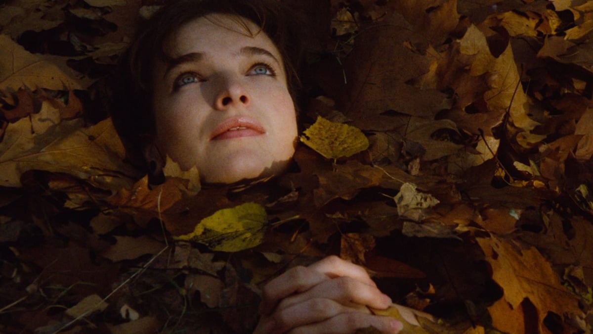 The Films of Márta Mészáros