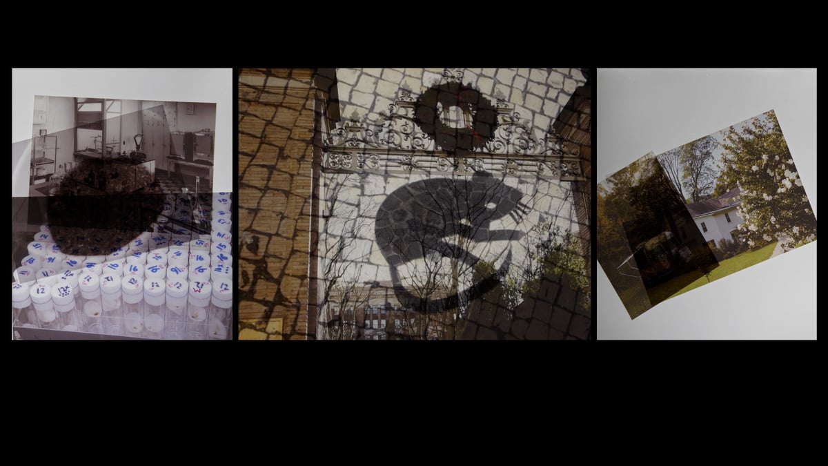 Currents Program 2: Fault Lines
