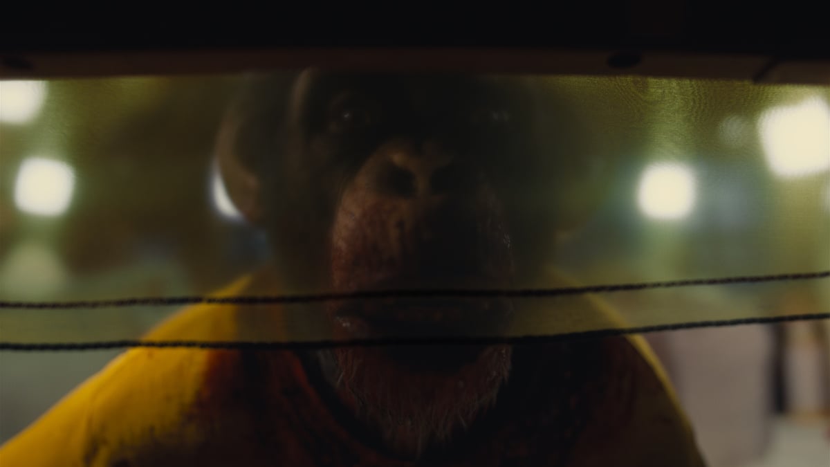 NOPE on 70mm