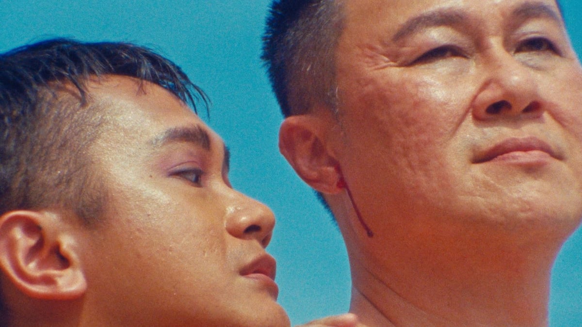 Shorts Program II