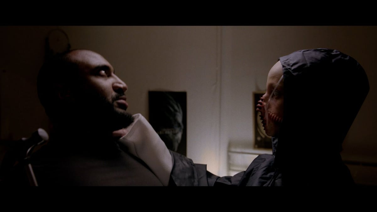 Shorts Program 2: Freeforms