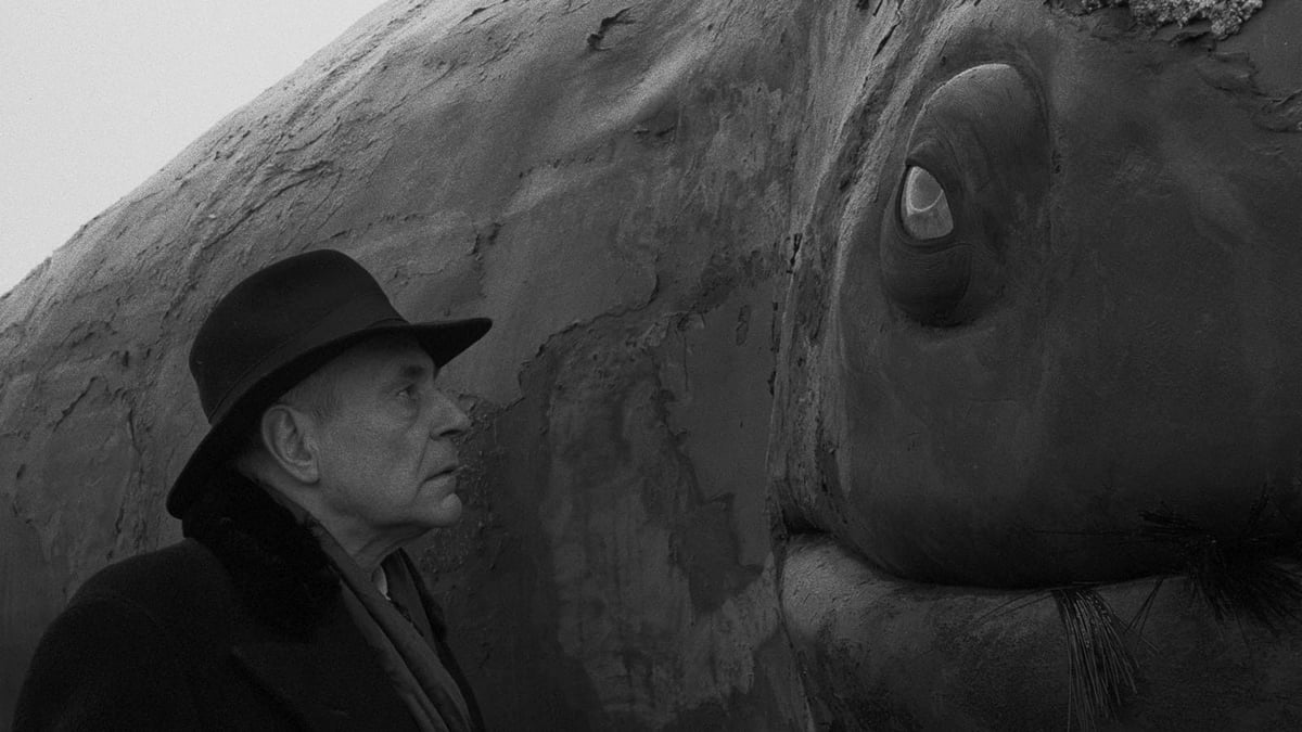 Béla Tarr In Person
