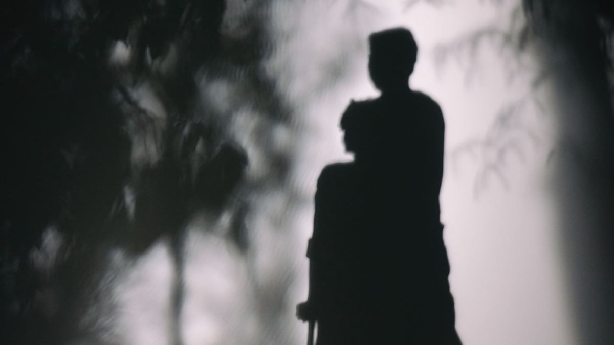 Shorts Program 4: Vapour Lights