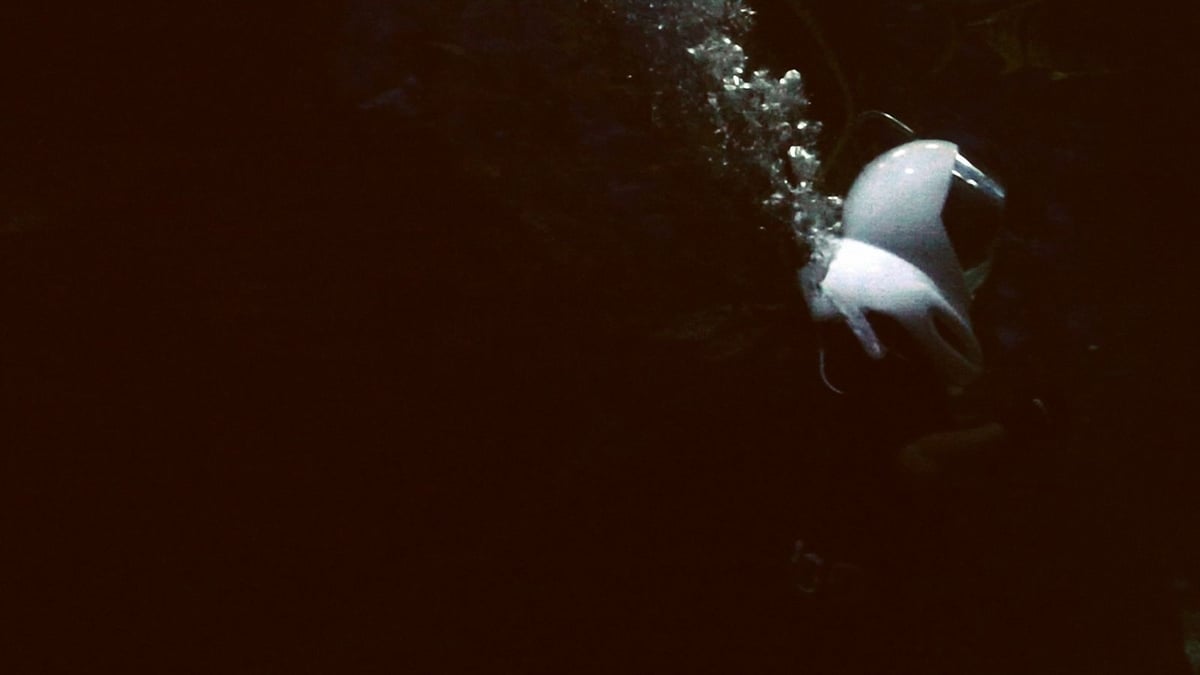 Shorts Program 3: Luminous Empire