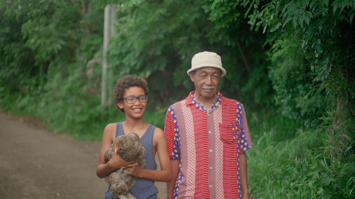 Shorts Program 2: Freeforms
