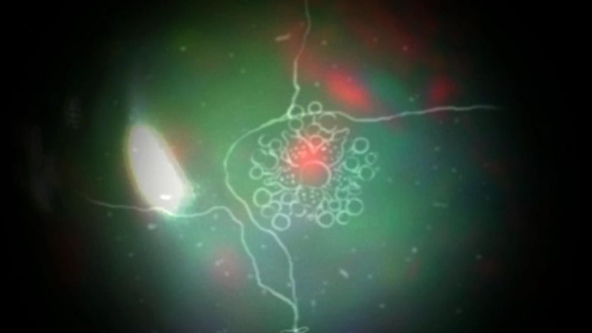 Shorts Program 3: Luminous Empire