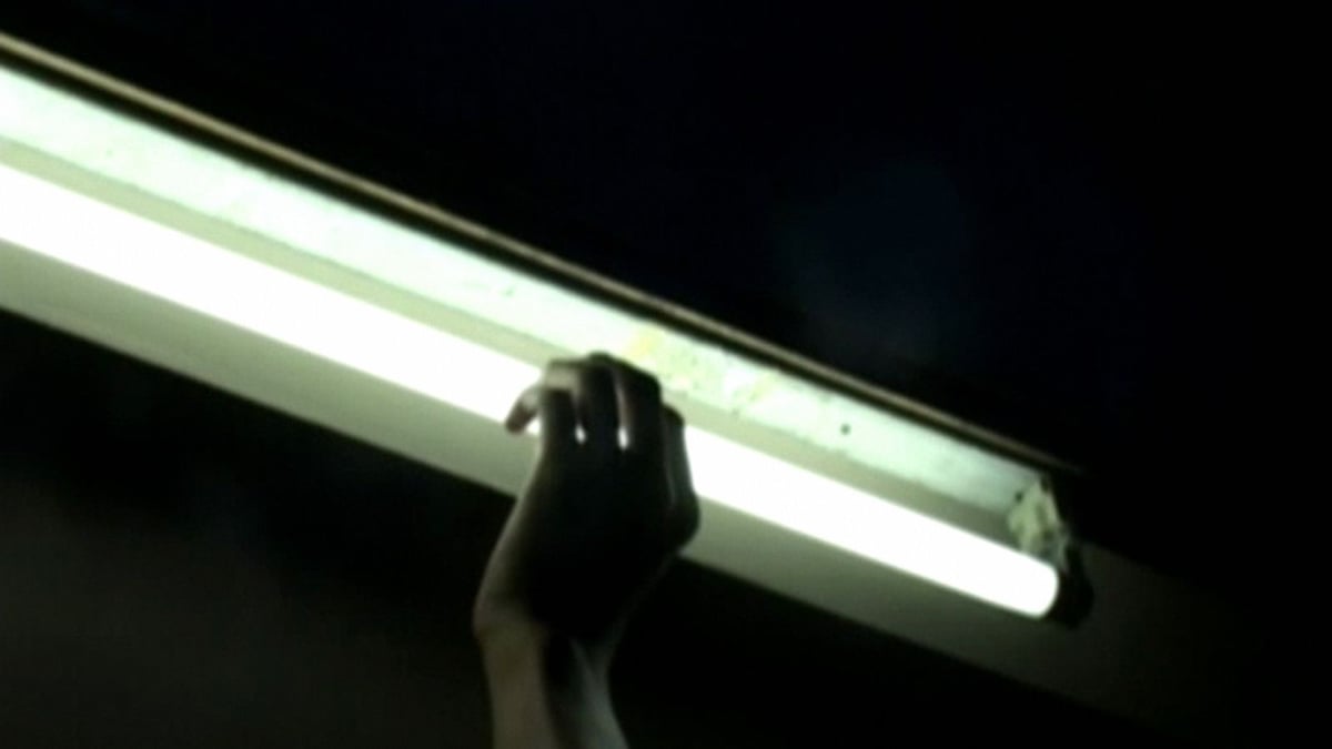 Shorts Program 4: Vapour Lights