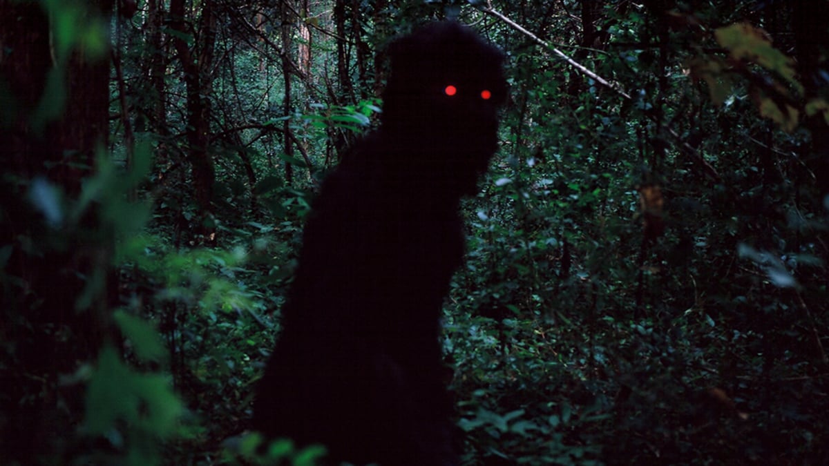 The World of Apichatpong Weerasethakul