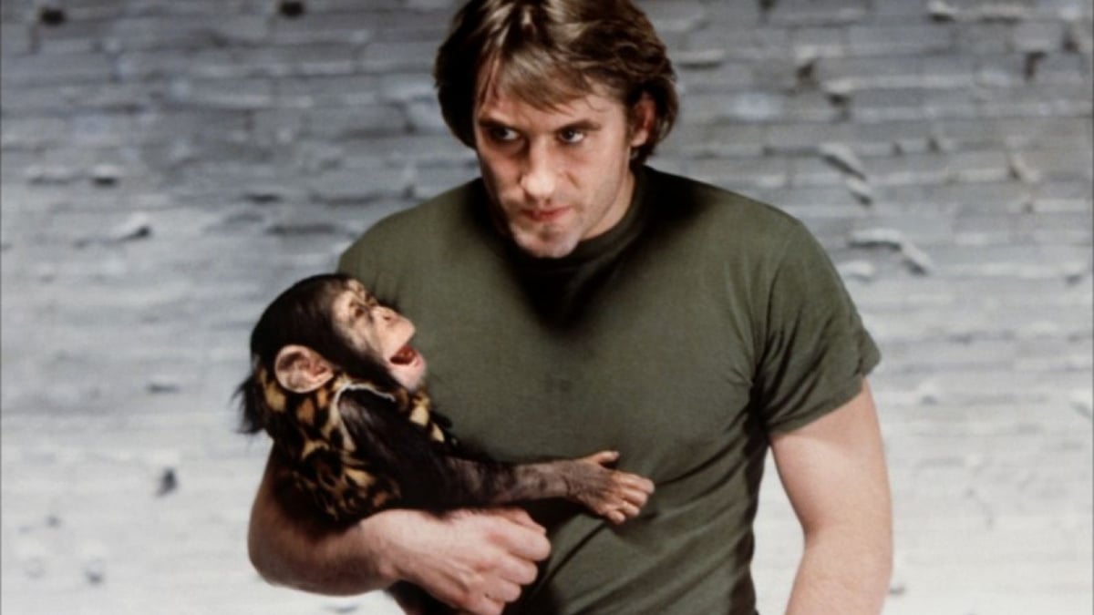 Bye Bye Monkey