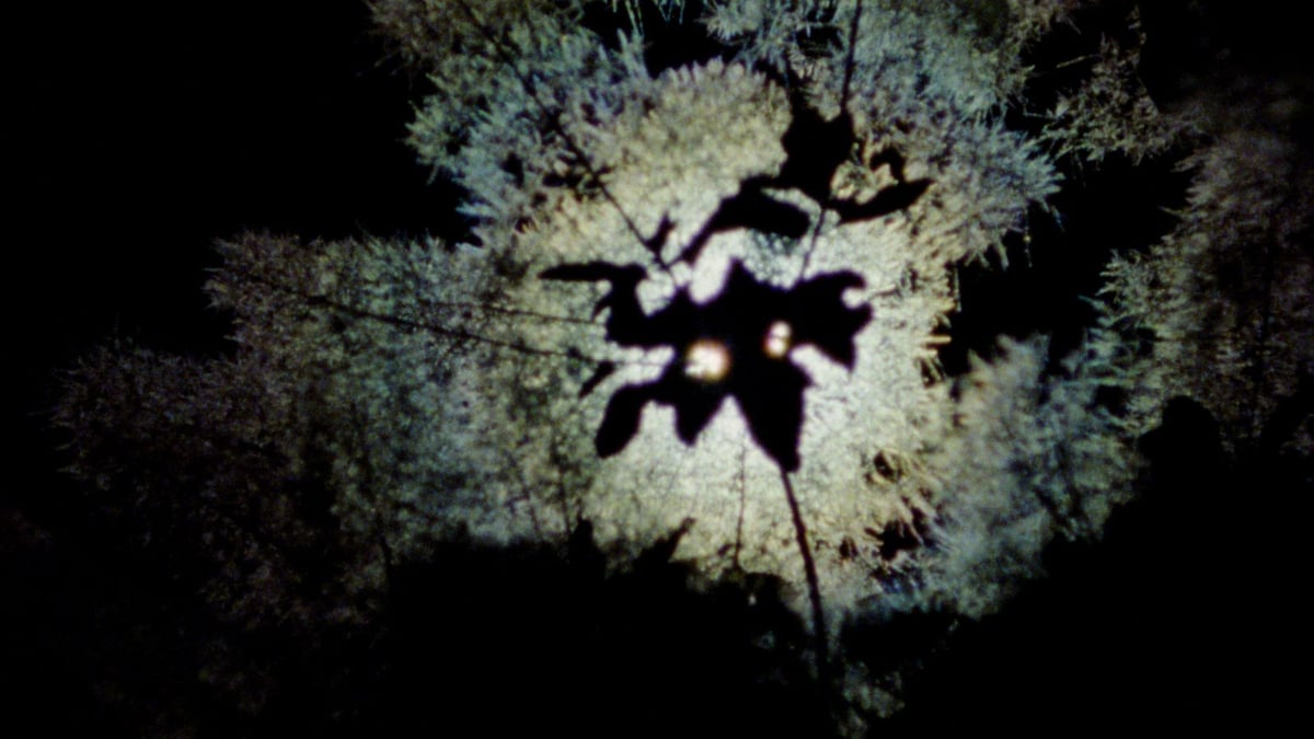 Currents Program 4: Close Encounters