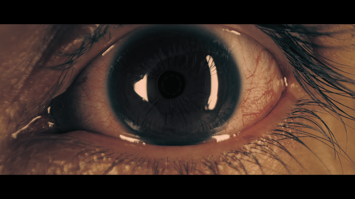 Program 7: Shorts – Provocative Perspectives
