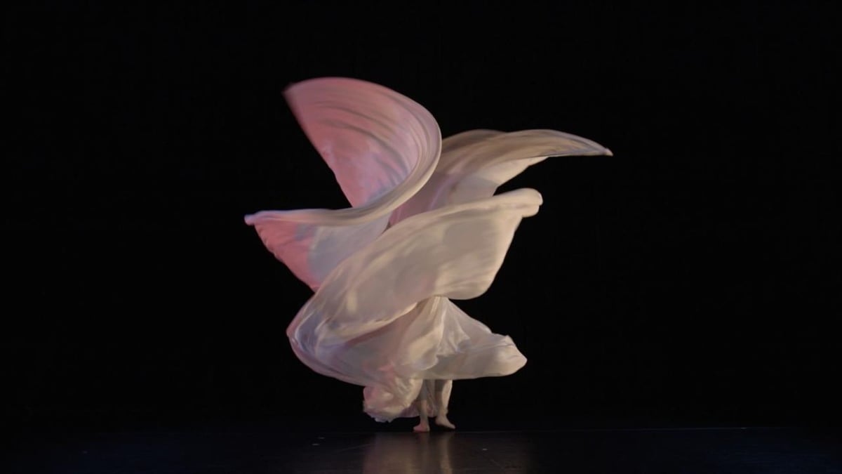 Dance on Camera Festival 2024