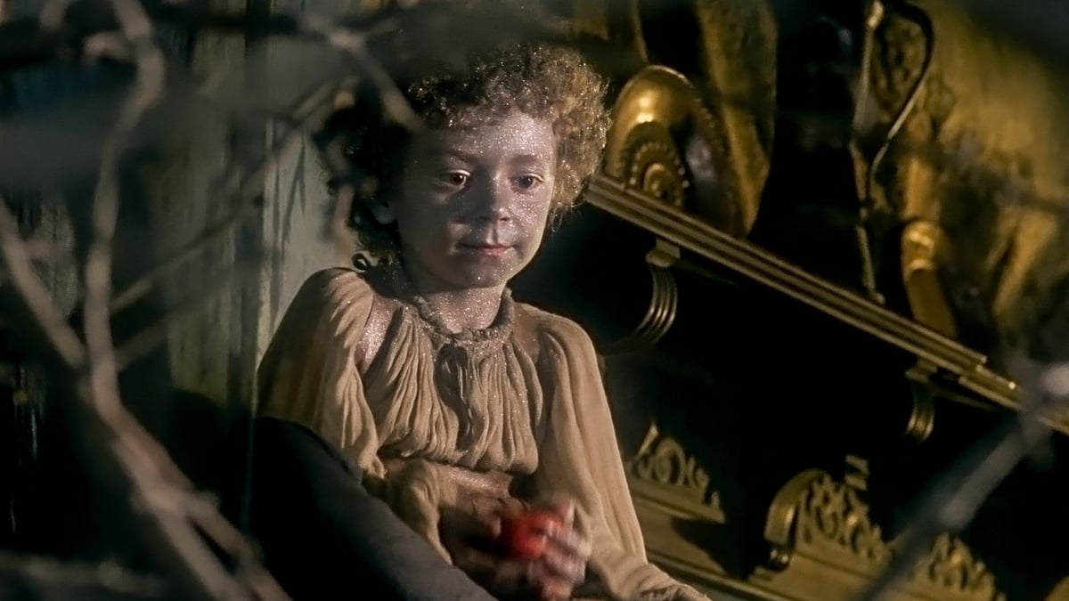 The Tribulations of Balthazar Kober (Niezwykła podróż Baltazara Kobera)