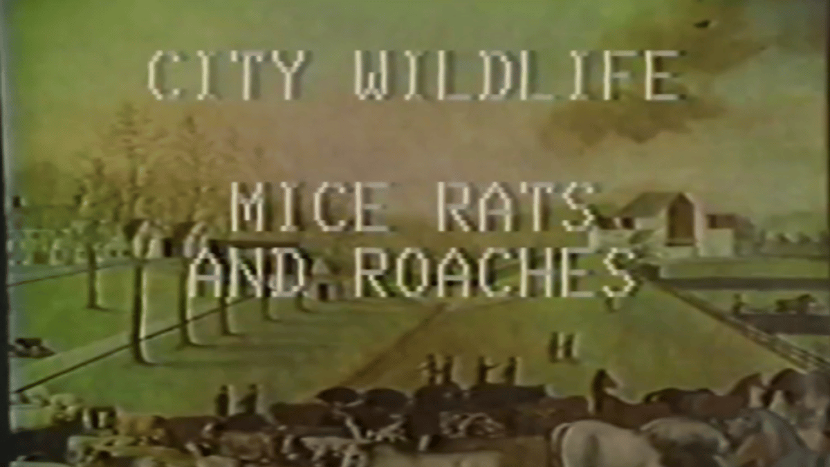 Program 9: Nature and Nonhuman Animals