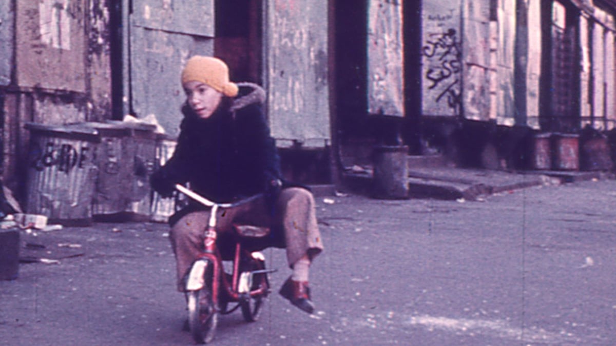 Program 6: Gentrification and Urban Renewal, Part 2