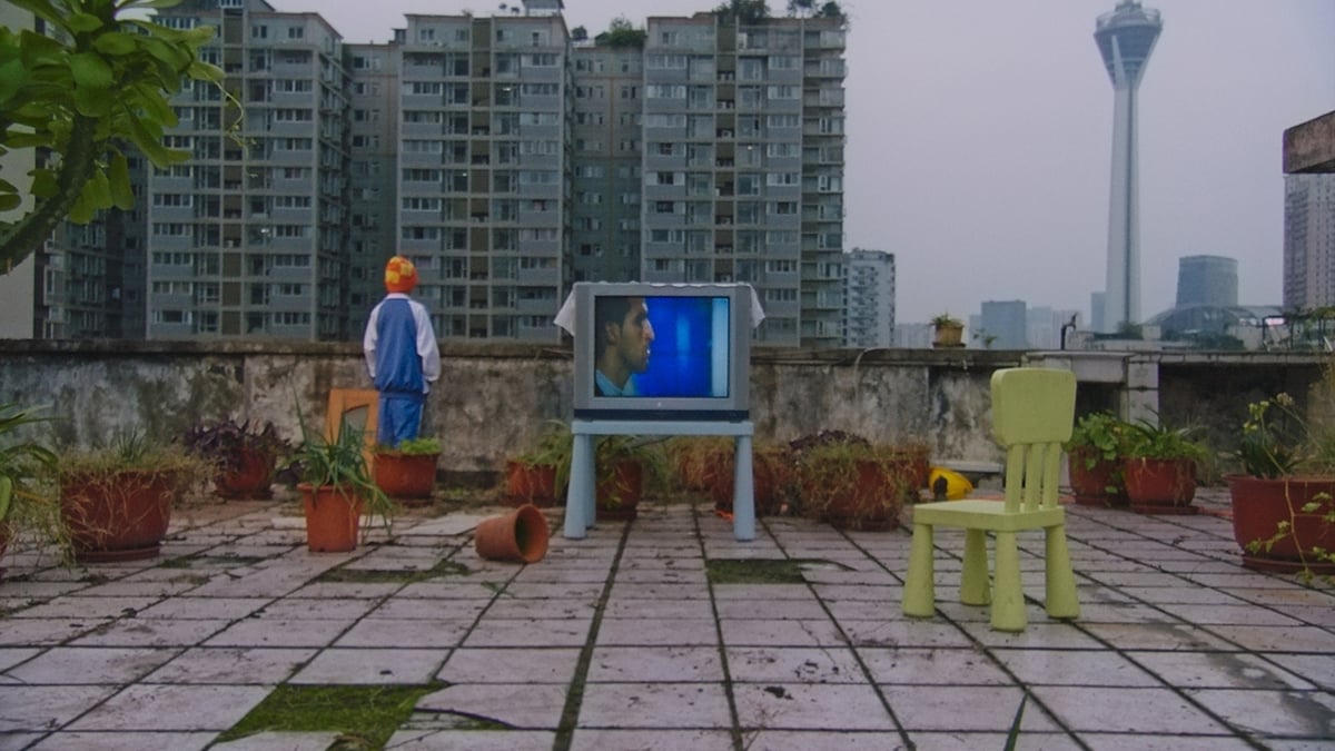 Shorts Program 3: Ode to Youth