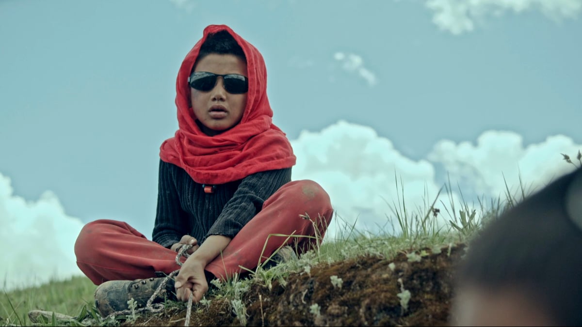 Shorts Program 1: The Animals That Therefore We Are