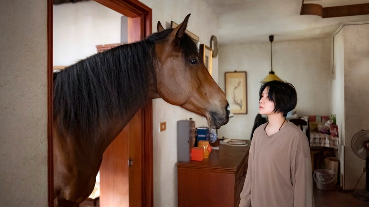 Shorts Program 1: The Animals That Therefore We Are