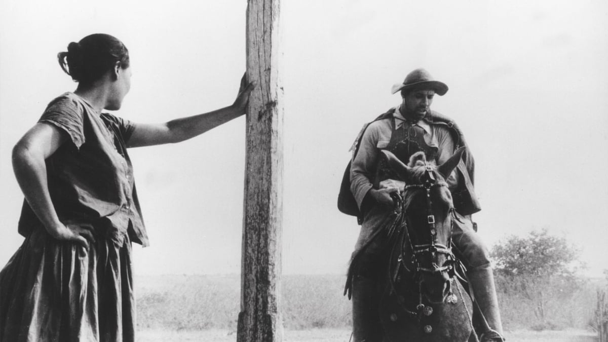 Barren Lives