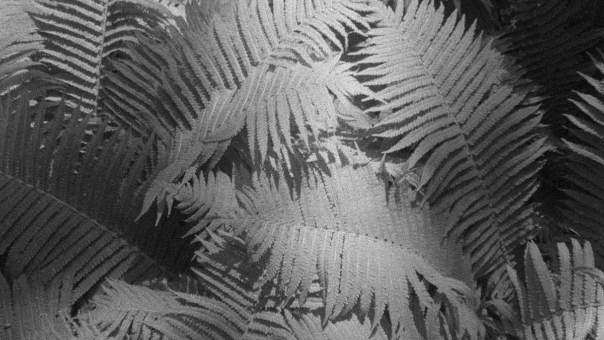 Currents Program 5: Material Worlds