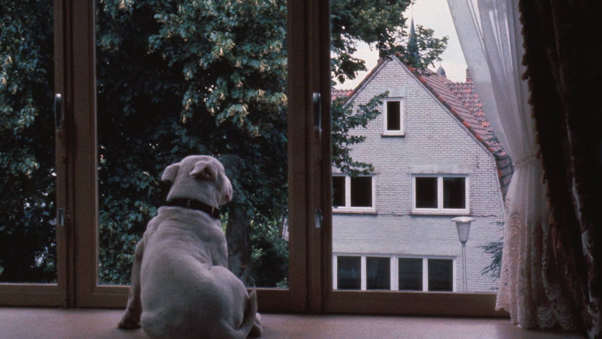 Baxter