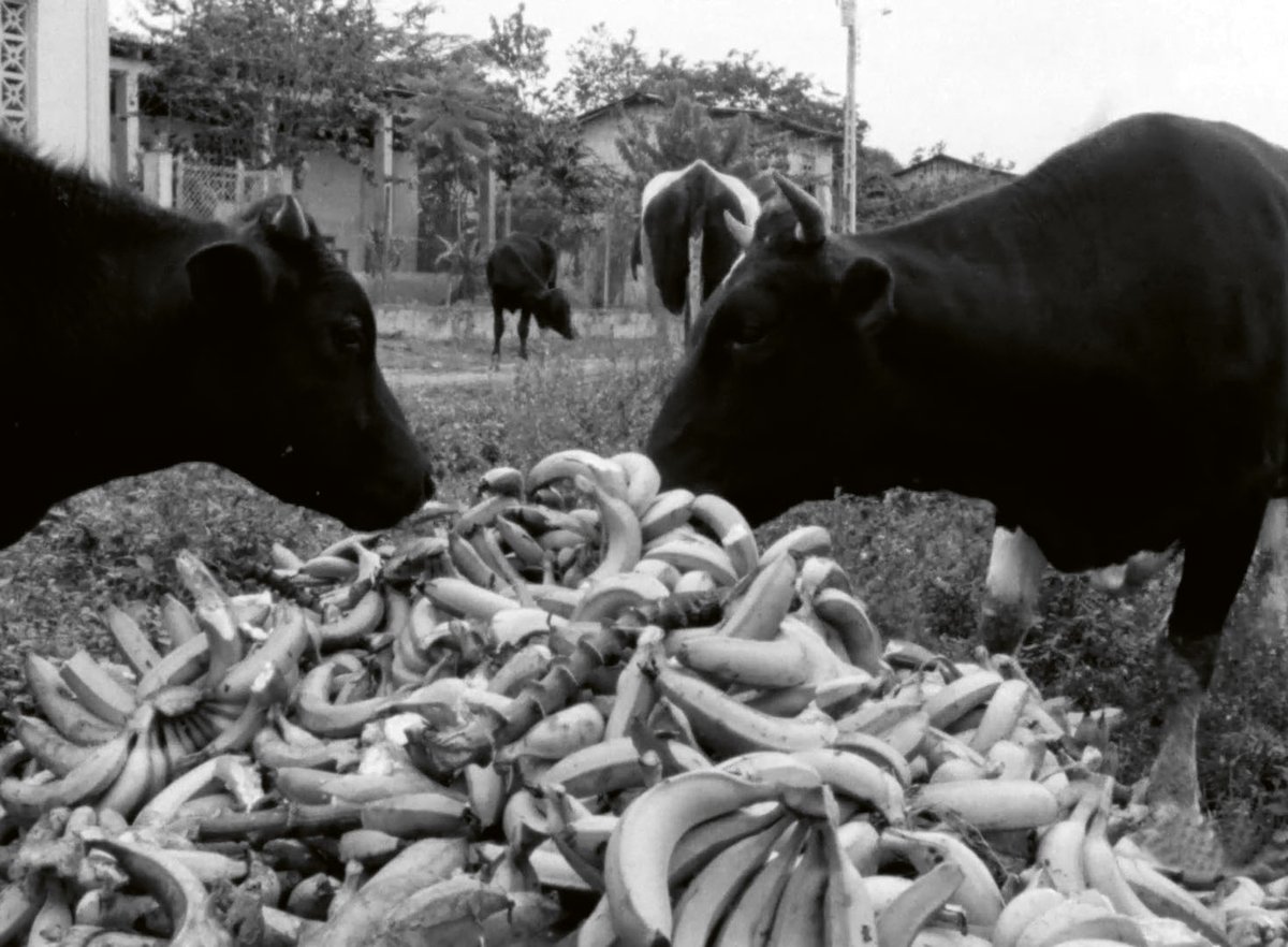 Origins of a Meal