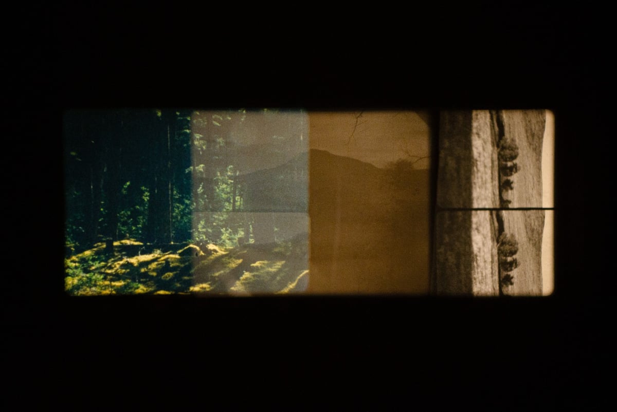 Currents Program 5: Fields of Vision