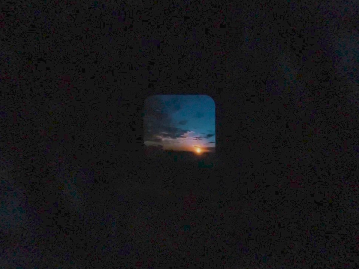 Currents Program 5: Fields of Vision