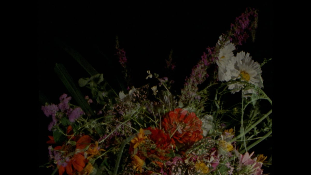 Currents Program 5: Fields of Vision