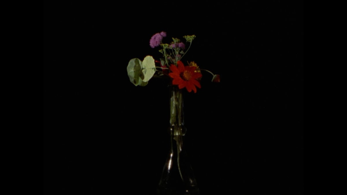 Currents Program 5: Fields of Vision