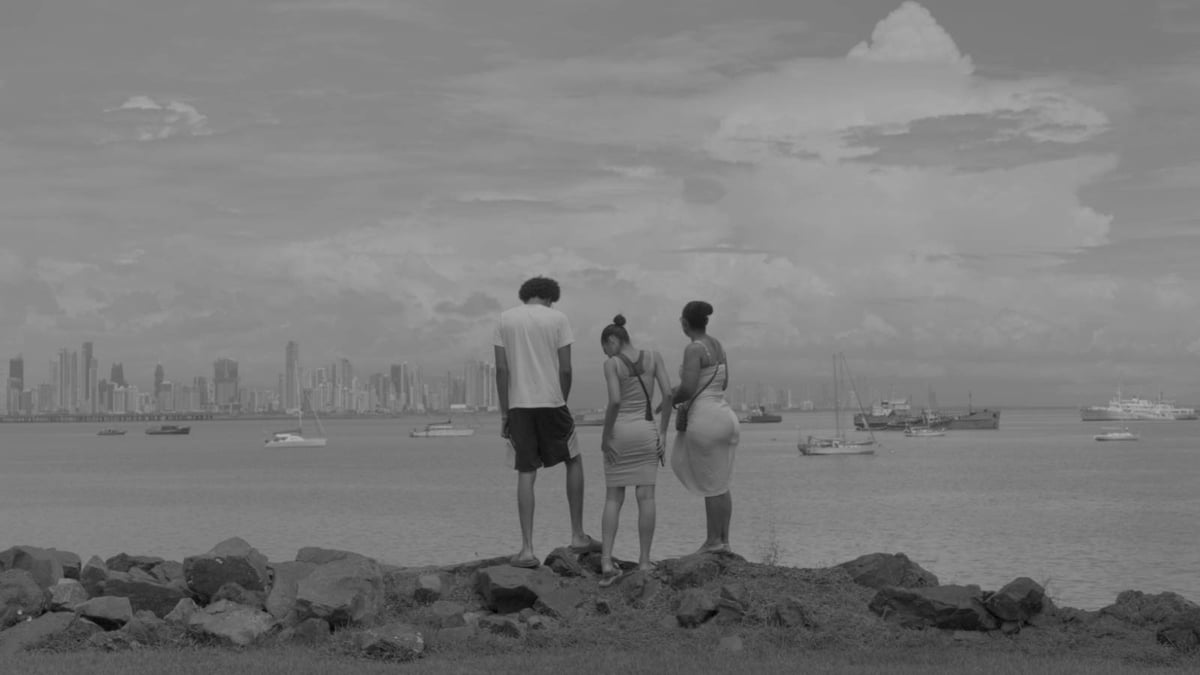 Shorts Program 3: The Art of Protection