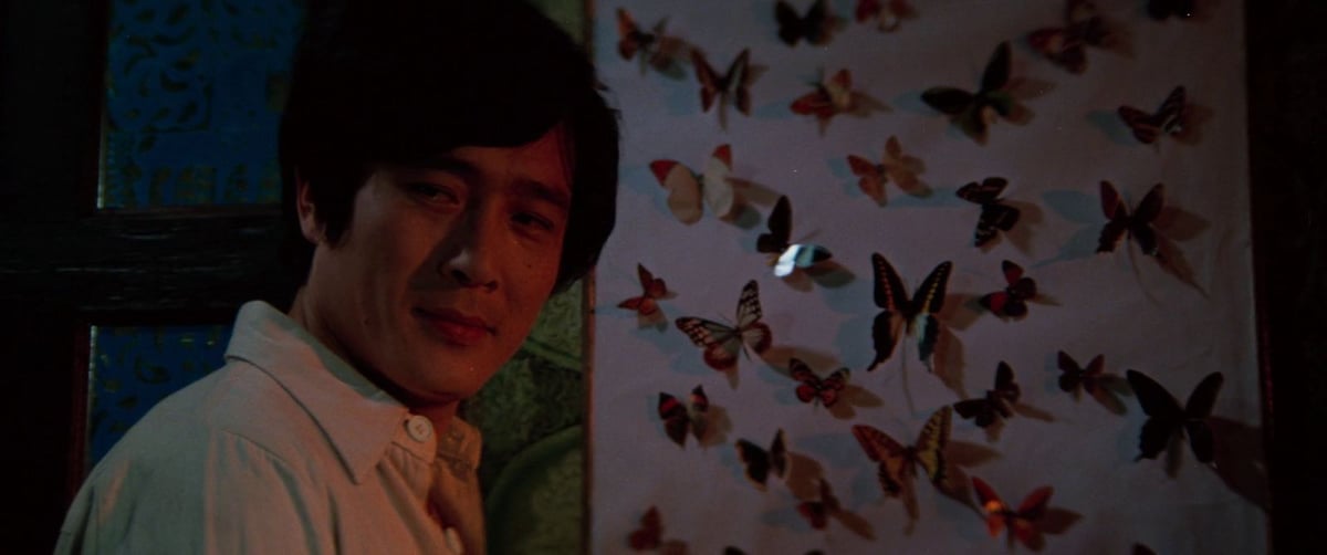 A Woman After a Killer Butterfly