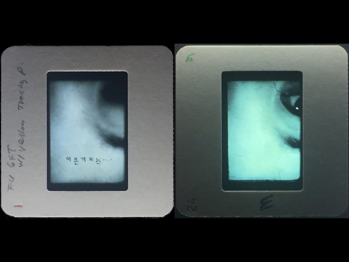 Special Exhibition by Hey-Yeun Jang