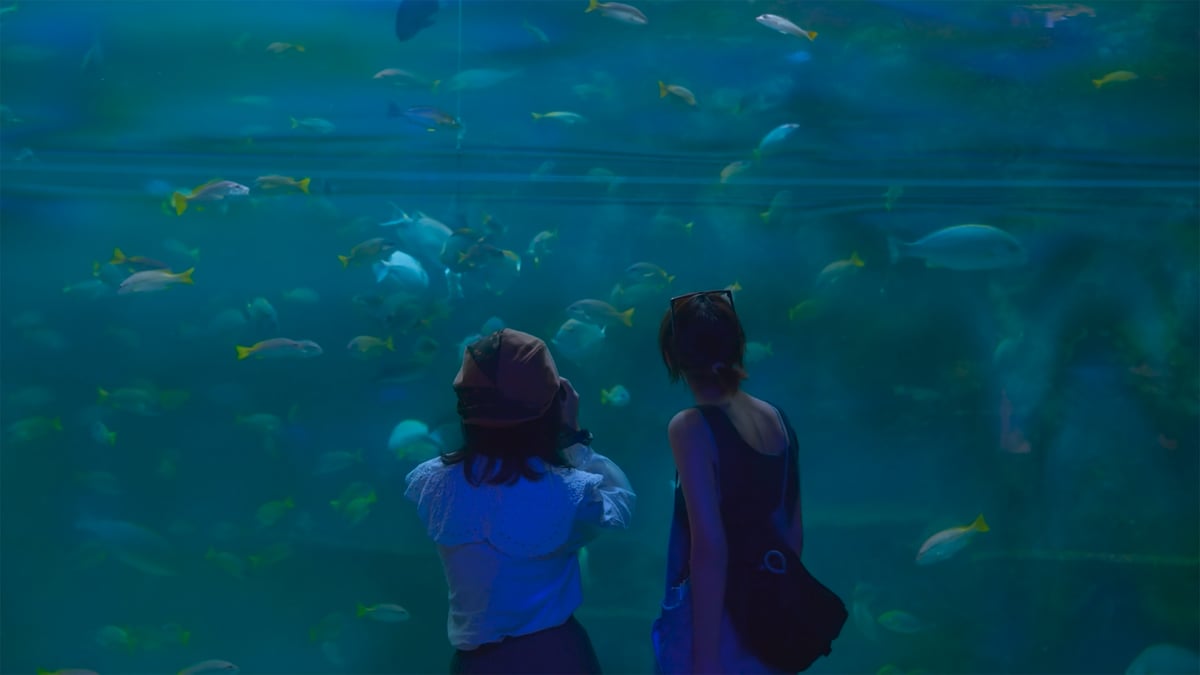 Shorts Program: Lost & Found